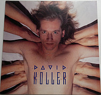 David Koller - David Koller