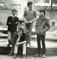Chameleons - Tony Fletcher Walked On Water