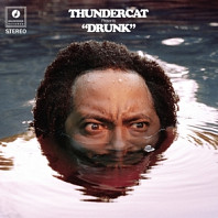 Thundercat - Drunk -10