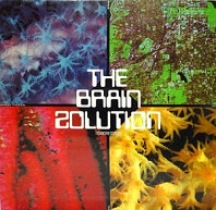 The Brain Solution