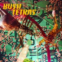 Bush Tetras - 7-There is a Hum