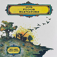 13th Floor Elevators - We Are Not Live