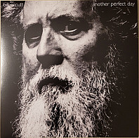 Bill Orcutt - Another Perfect Day