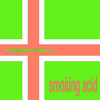 Brian Jonestown Massacre - Smoking Acid