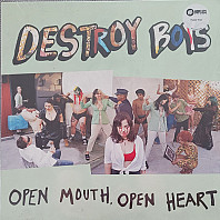 Destroy Boys - Open Mouth Open Heart