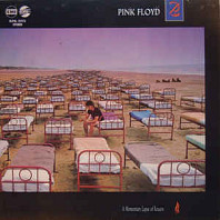 A Momentary Lapse Of Reason