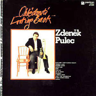 Zdeněk Pulec - Ohlédnutí (Looking Back)