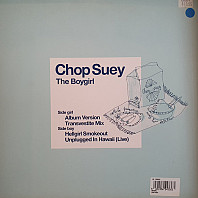 Chop Suey - The Boygirl