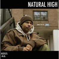 DJ Koss -  Natural High