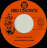 The Bacao Rhythm & Steel Band - Stranger Things Theme ​/ Halloween Theme