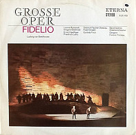 Fidelio - Opernquerschnitt