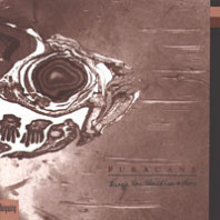 Puracane - Things You Should Leave Alone