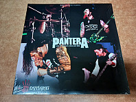 Pantera - Live At Dynamo Open Air 1998