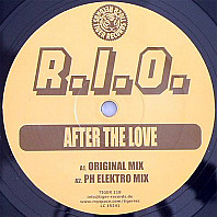 R.I.O - After The Love