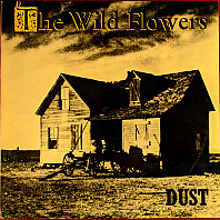 Dust