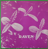 Raven - Back To Ohio Blues