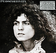 Tyrannosaurus Rex - A Beard Of Stars