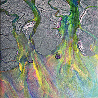 Alt-J - An Awesome Wave