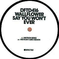 Wallflowers - Say You Won't Ever
