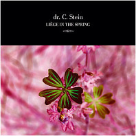 Dr. C. Stein - Liège In The Spring