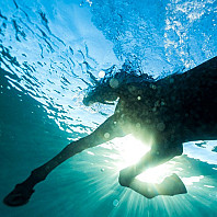 Dream Nails - You Wish