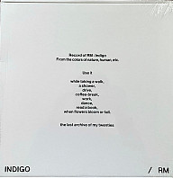 Rap Monster - Indigo