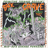 Various Artists - Back From The Grave Volume Three