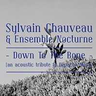 Sylvain Chauveau - Down To The Bone