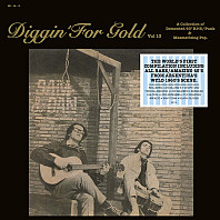 Diggin' For Gold Vol 13 (A Collection Of Demented 60' R&B/Punk & Mesmerizing Pop.)