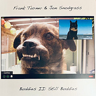 Frank Turner - Buddies II: Still Buddies