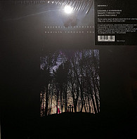 Ensemble Economique - Radiate Through You