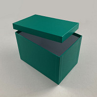 Vinyl Box - Úložný box na SP gramodesky zelená koženka