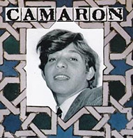 Camaron - Venta De Vargas