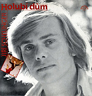Jiří Schelinger - Holubí dům