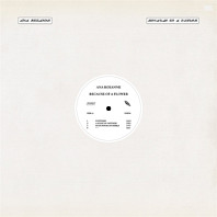 Ana Roxanne - Because of a Flower