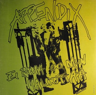 Appendix - Ei Raha Oo Mun Valuutaa