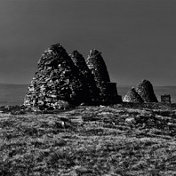 Standers (Dark Fell Green)