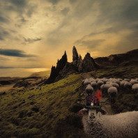 Franck Carducci - Sheeple