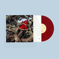 Hannah Frances - Nested In Tangles