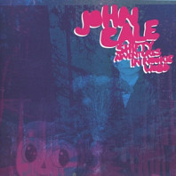 John Cale - Shifty Adventures In Nookie Wood