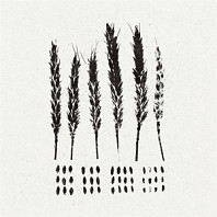 Lo! - Gleaners