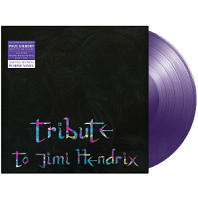 Tribute To Jimi Hendrix