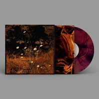 Szun Waves - Earth Patterns
