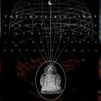 T Bone Burnett - Invisible Light: Acoustic Space