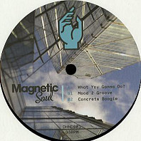 Magnetic Soul - What You Gonna Do?