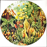 Slipmat - Garden