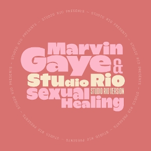 Marvin Gaye & Studio Rio - 7-Sexual Healing