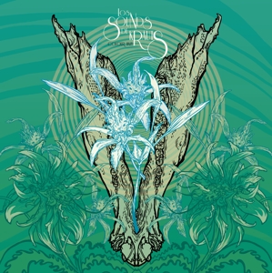Colour Haze - Los Sounds De Krauts
