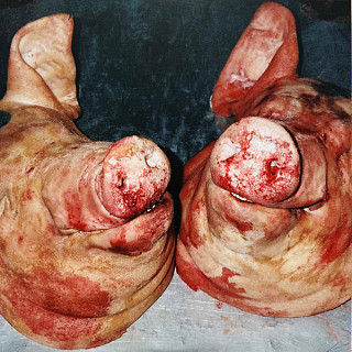 Armand Hammer & the Alchemist - Haram