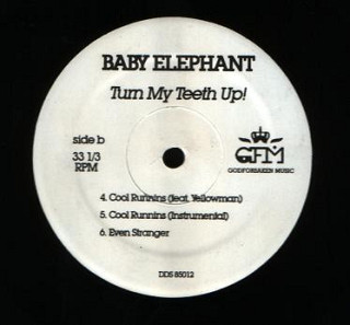Baby Elephant - How Does The Brain Wave?